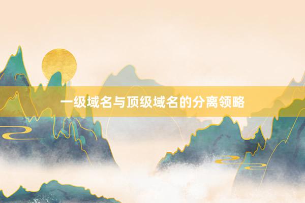 一级域名与顶级域名的分离领略
